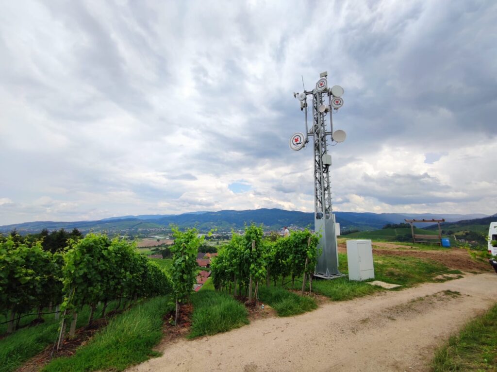 Richtfunkmasten mit vielen Richtfunkantennen auf einem Weinberg