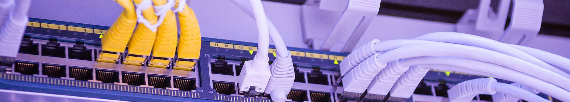 Patchkabel die in einem Switch stecken