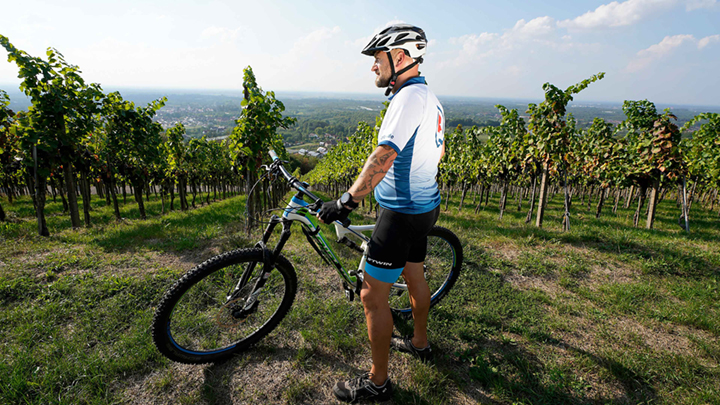 Benefits von LEITWERK Mann auf Fahrrad. Im Hintergrund sind Weinreben