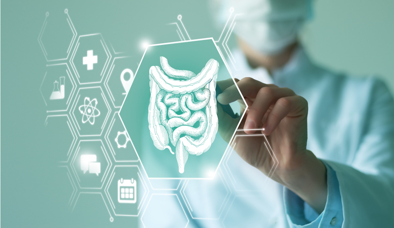 Aktuelle Herausforderungen & Chancen durch E-Health Digitale Abbildung eines Darms