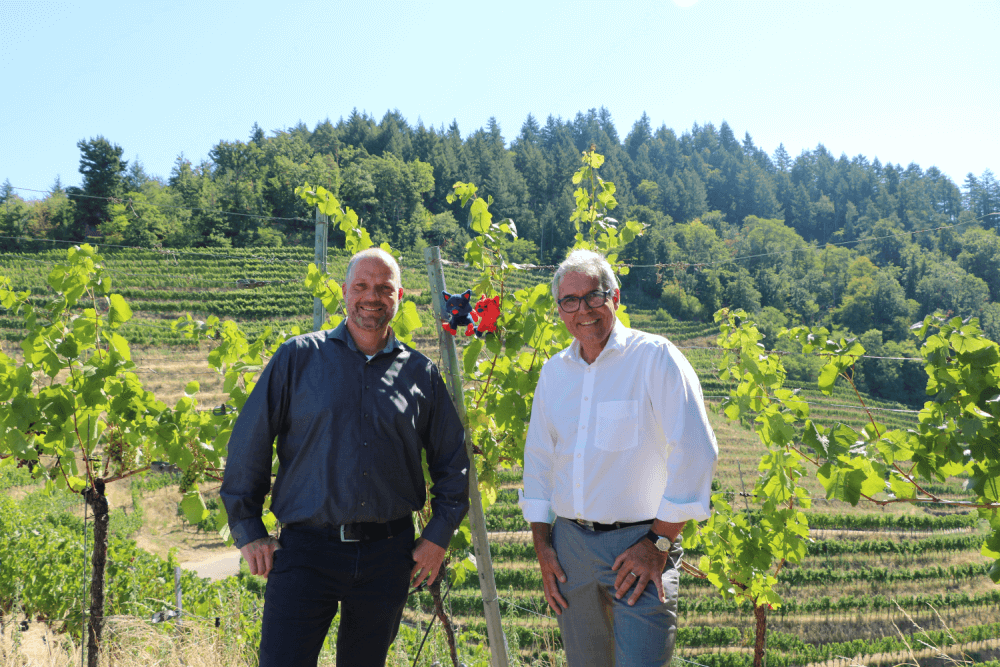 Mitarbeiterinnen , im Hintergrund Weinberge mit Reben und Wald 