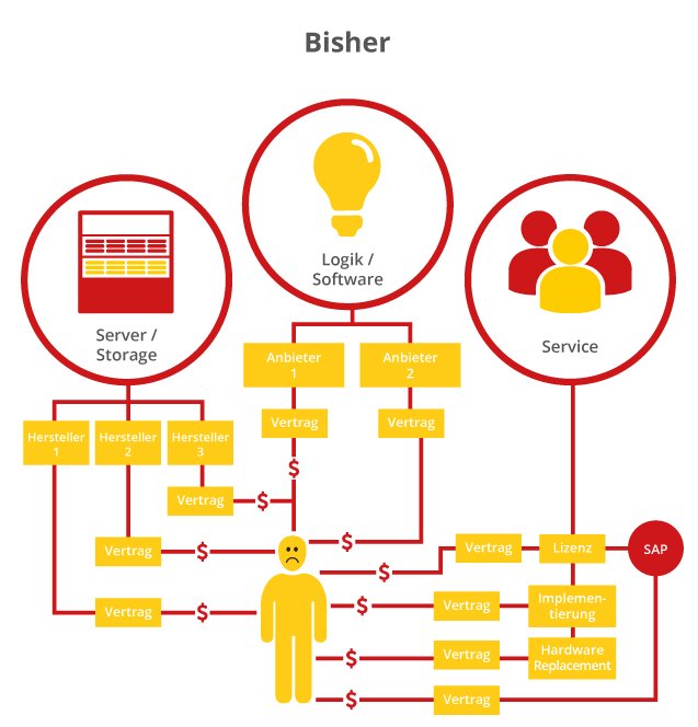 Die Lösung - Grafik bisher Es gibt drei Kernthemen: Server/Storage, Logik/Software und Service, sowie ein gelbes Männchen, das für alle Dienstleistungen in diesen Bereichen einen zusätzlichen Vertrag hat